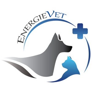 Annuaire des cabinets vétérinaires à Gif-sur-Yvette – Meilleurs médecins pour votre chien