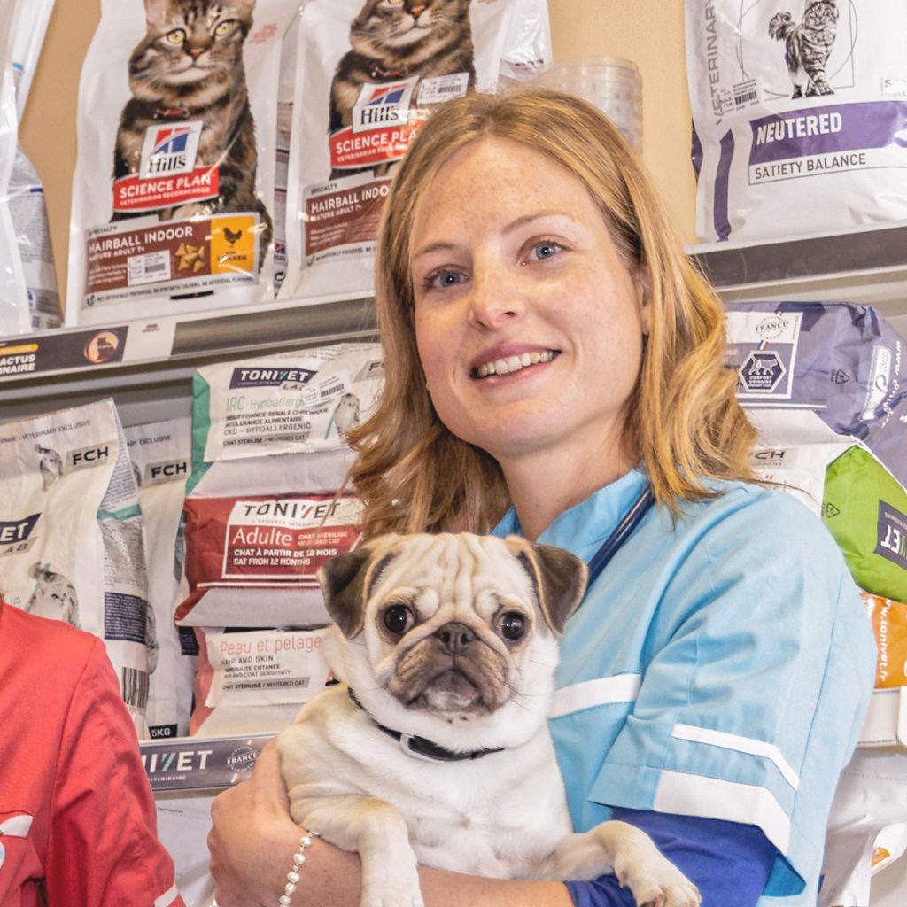Annuaire des cliniques vétérinaires à Gardanne – Meilleurs médecins pour votre animal de compagnie