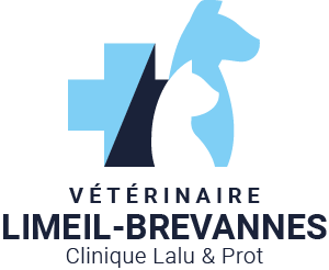 Classement des cliniques vétérinaires à Limeil-Brévannes – Meilleurs médecins pour votre chat