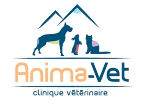 Classement des cliniques vétérinaires à Mamoudzou – Meilleurs médecins pour votre animal