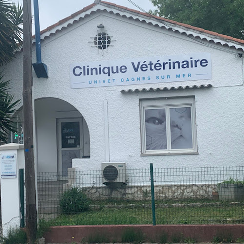 Cliniques vétérinaires à Cagnes-sur-Mer – Top 10 des meilleurs professionnels
