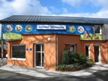 Cliniques vétérinaires à Fontaine – Top 5 des plus professionnels