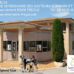 Cliniques vétérinaires à Fréjus – Registre des meilleurs professionnels
