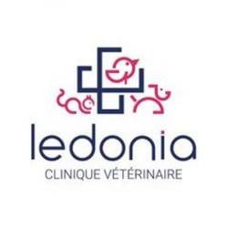Cliniques vétérinaires à Lons – Top 5 des plus professionnels