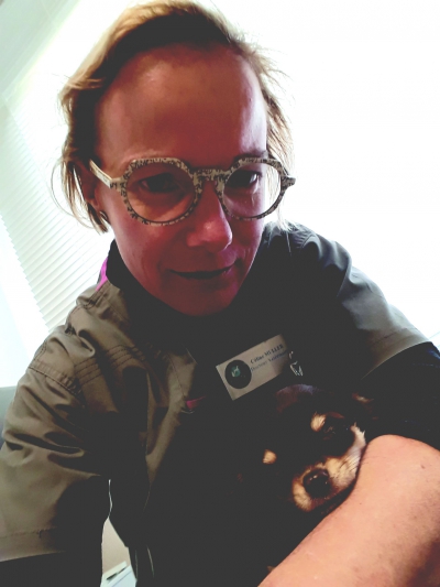 Cliniques vétérinaires à Ploufragan – Top 5 des plus professionnels