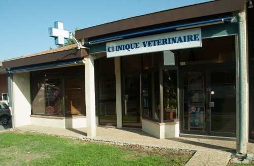 Cliniques vétérinaires à Ramonville-Saint-Agne – Registre des meilleurs professionnels