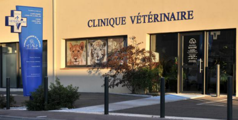 Cliniques vétérinaires à Trets – Répertoire des meilleurs professionnels