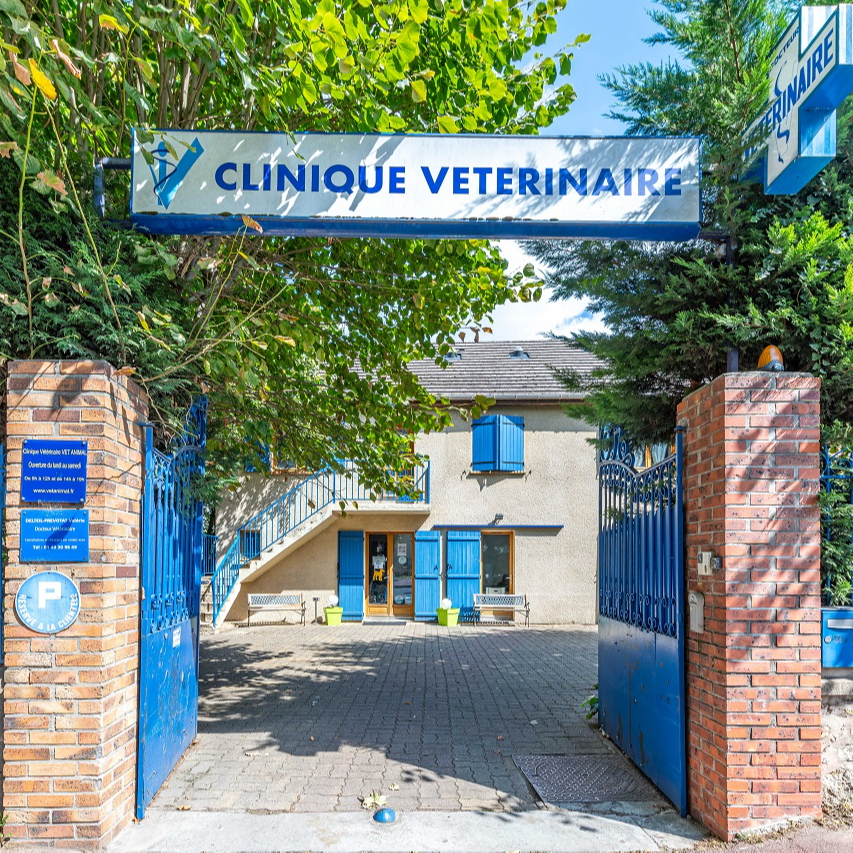 Cliniques vétérinaires à Villiers-le-Bel – Top 10 des plus professionnels