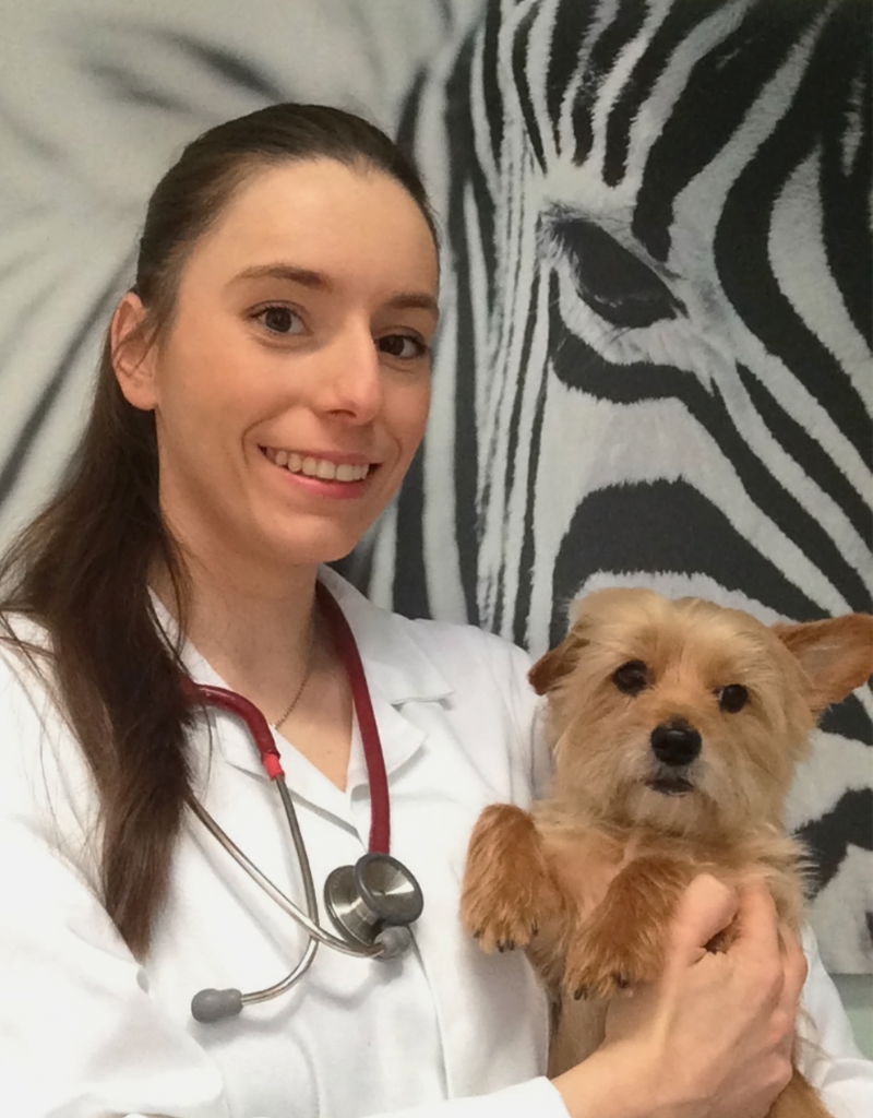 Comment choisir les bons Docteurs Vétérinaires à Digne-les-Bains ?