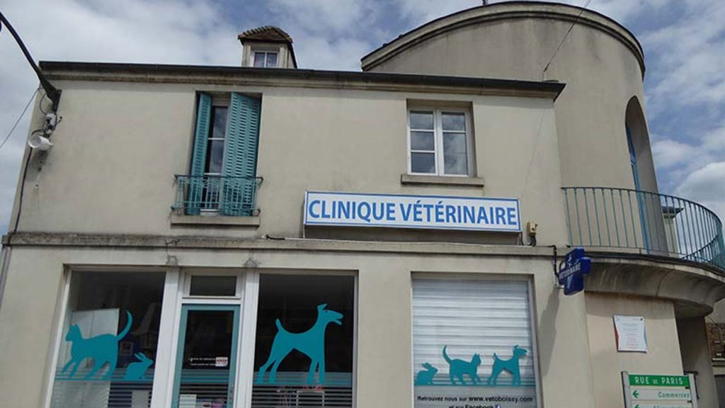 Comment choisir les meilleurs vétérinaires à Boissy-Saint-Léger ?