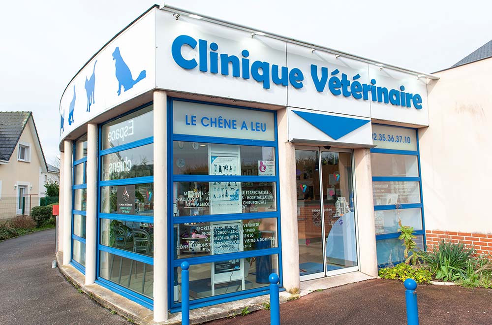 Découvrez les bons cliniques vétérinaires à Canteleu – Seine-Maritime