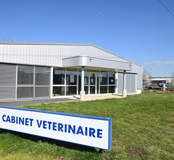 Découvrez les bons vétérinaires à Aurillac – Cantal