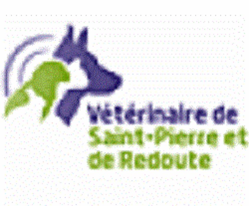 Découvrez les bons vétérinaires à Fort-de-France – Martinique