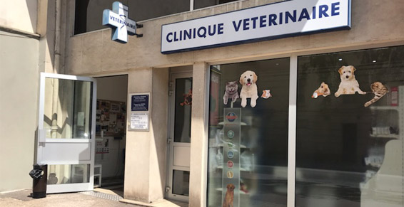 Découvrez les bons vétérinaires à Montrouge – Hauts-de-Seine