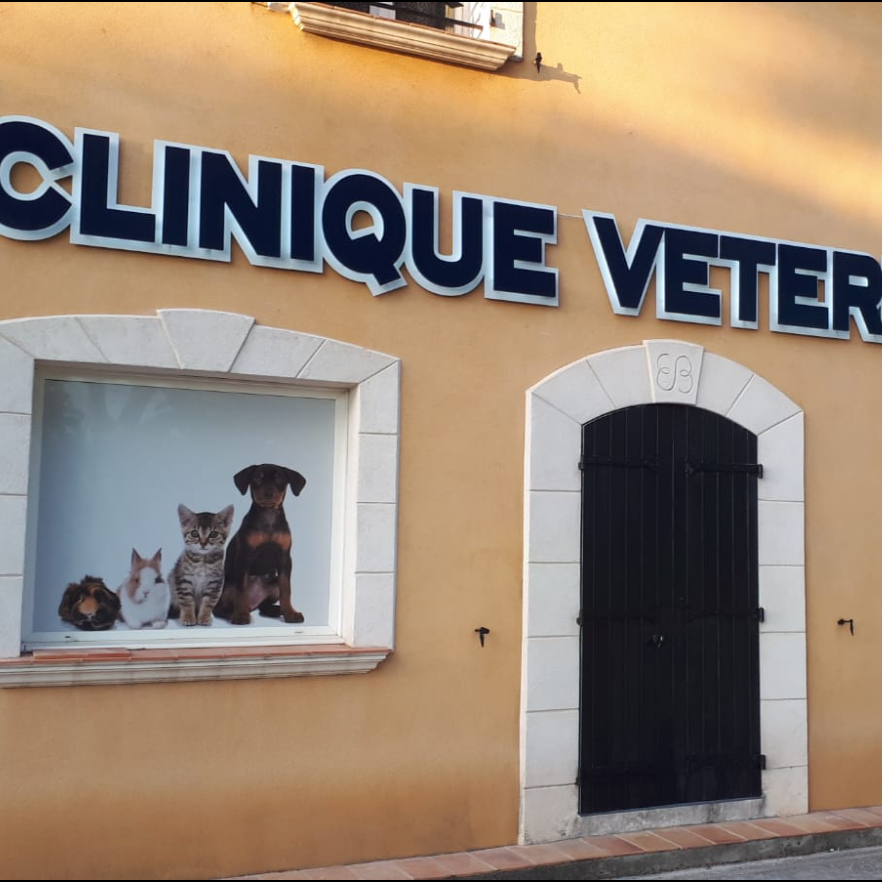 Découvrez les meilleurs cliniques vétérinaires à Six-Fours-les-Plages