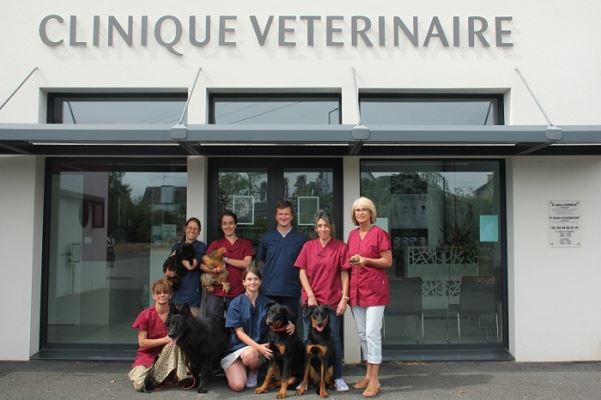 Découvrez les meilleurs vétérinaires à Concarneau – Finistère