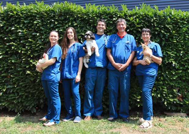 Docteurs vétérinaires à Castanet-Tolosan – Listing des meilleurs professionnels