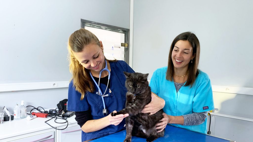 Docteurs vétérinaires à Le Portel – des meilleurs professionnels