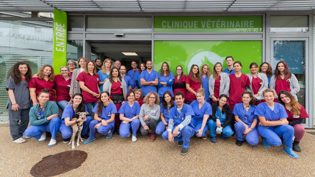 Docteurs vétérinaires à L’Isle-Adam – Listing des meilleurs professionnels