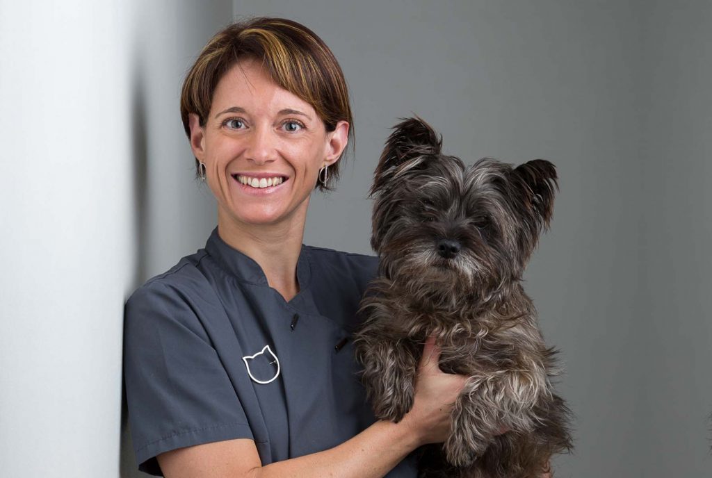 Docteurs vétérinaires à Lognes – des meilleurs professionnels