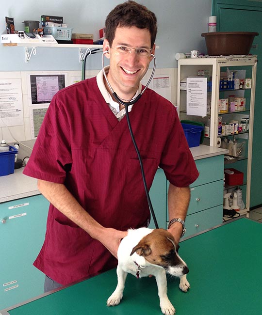Docteurs vétérinaires à Lormont – Top 5 des plus professionnels