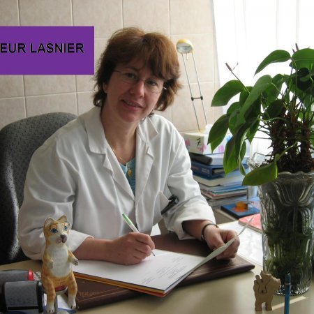Docteurs vétérinaires à Mantes-la-Ville – Registre des plus professionnels