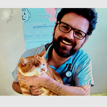 Docteurs vétérinaires à Rennes – Registre des meilleurs professionnels