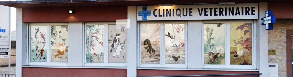 Docteurs vétérinaires à Schiltigheim – Registre des meilleurs professionnels