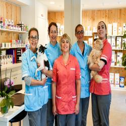 Docteurs vétérinaires à Toulouse – Top 5 des meilleurs professionnels