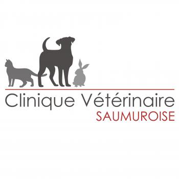 Guide des bons cliniques vétérinaires à Saumur