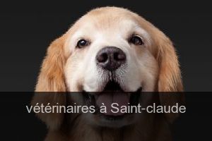 Guide des bons vétérinaires à Saint-Claude