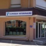 Guide des meilleurs Docteurs Vétérinaires à Fresnes