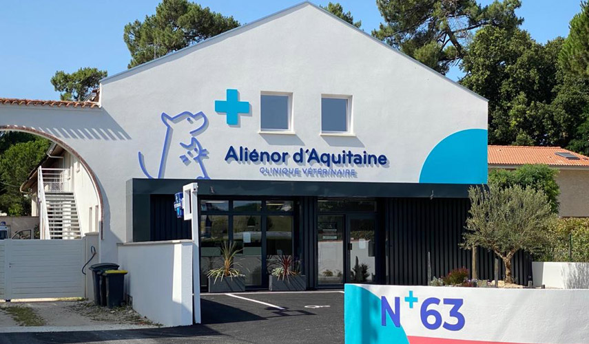 Les bons Docteurs Vétérinaires à Royan – Charente-Maritime