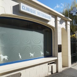 Les bons vétérinaires à Garches – Hauts-de-Seine