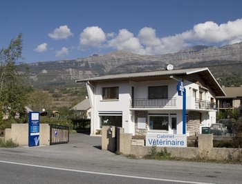Les meilleurs cliniques vétérinaires à Gap – Hautes-Alpes