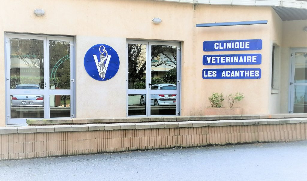Les meilleurs Docteurs Vétérinaires à Millau – Aveyron