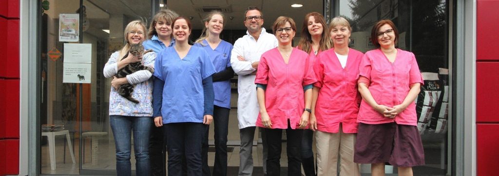 Liste des bons Docteurs Vétérinaires à Montargis – Loiret