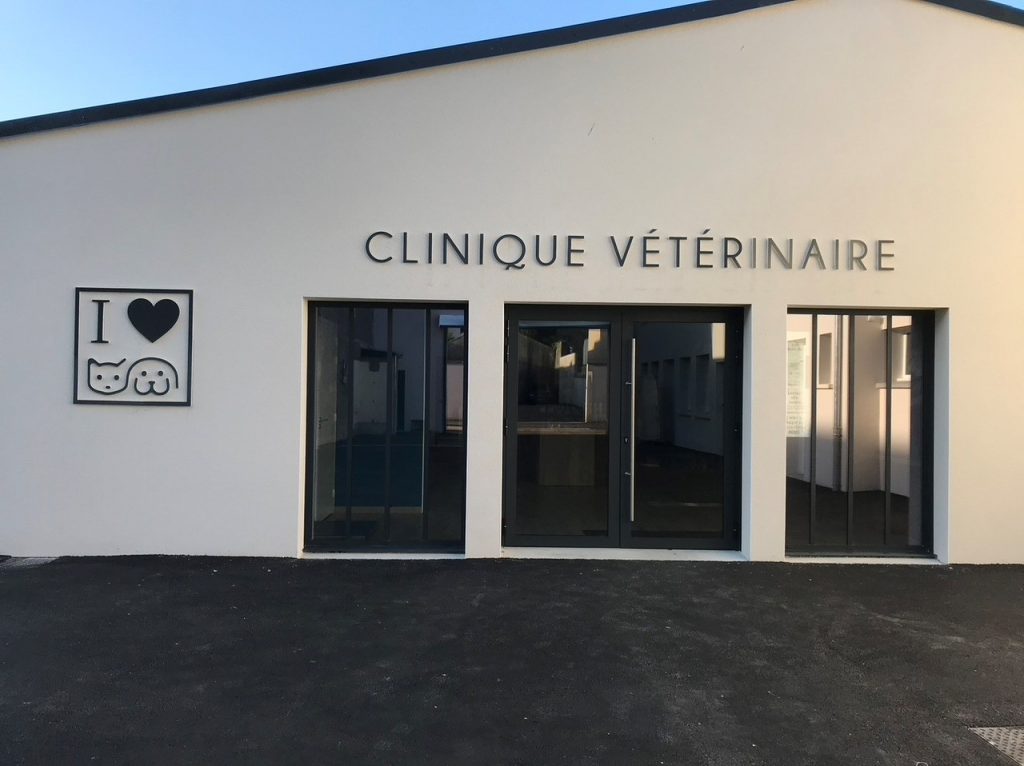 Listing des cabinets vétérinaires à Cherbourg-Octeville – Meilleurs docteurs pour votre animal de compagnie