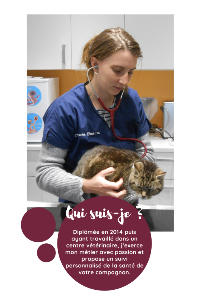 Listing des cabinets vétérinaires à Thiers – Meilleurs docteurs pour votre animal de compagnie