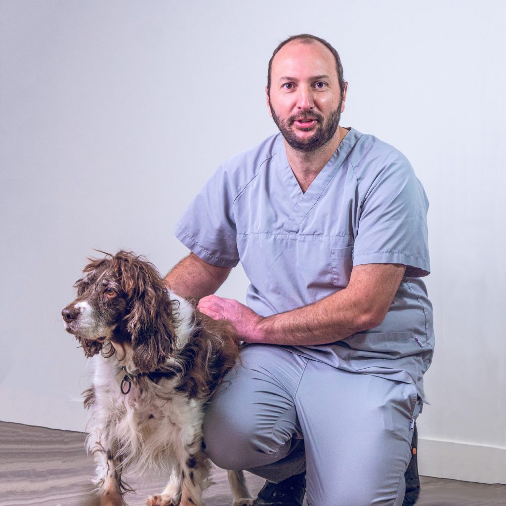 Listing des cliniques vétérinaires à Joué-lès-Tours – Meilleurs médecins pour votre animal