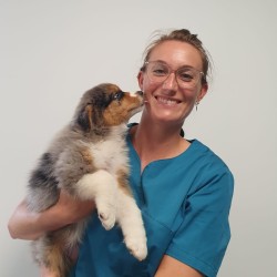 Listing des cliniques vétérinaires à Mont-de-Marsan – Meilleurs docteurs pour votre animal de compagnie