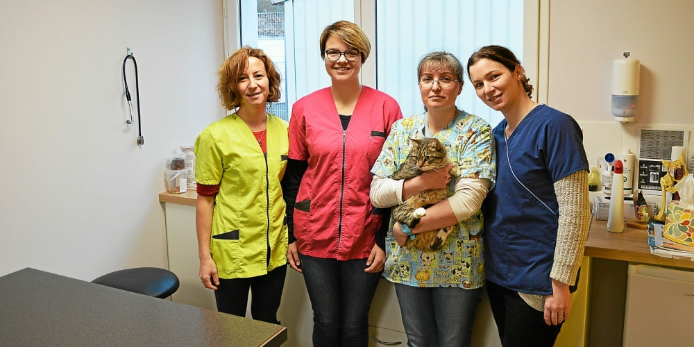 Listing des vétérinaires à Le Relecq-Kerhuon – Meilleurs docteurs pour votre animal