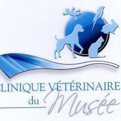 Palmarès des cabinets vétérinaires à Anzin – Meilleurs docteurs pour votre animal de compagnie