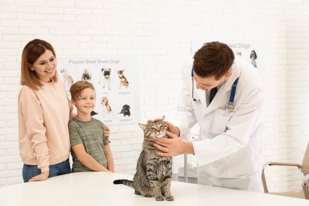 Palmarès des cabinets vétérinaires à Bruay-sur-l’escaut – Meilleurs médecins pour votre animal