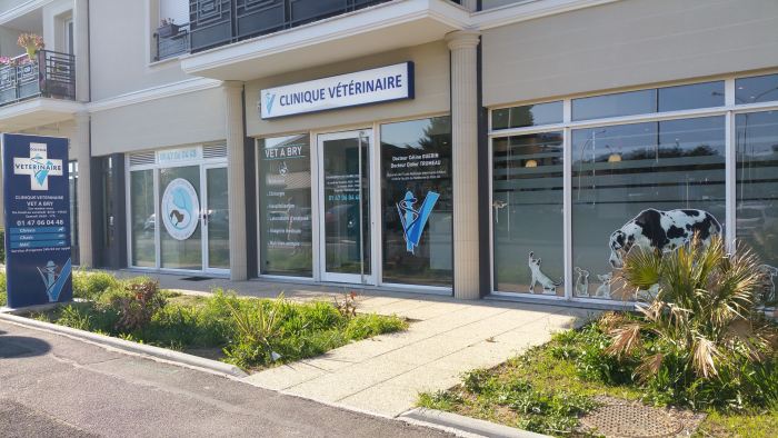 Palmarès des cabinets vétérinaires à Bry-sur-Marne – Meilleurs médecins pour votre chat