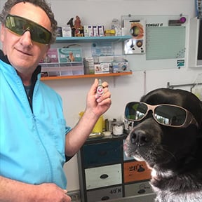 Palmarès des cabinets vétérinaires à Martigues – Meilleurs médecins pour votre chien