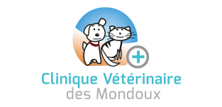 Palmarès des cabinets vétérinaires à Périgueux – Meilleurs docteurs pour votre animal