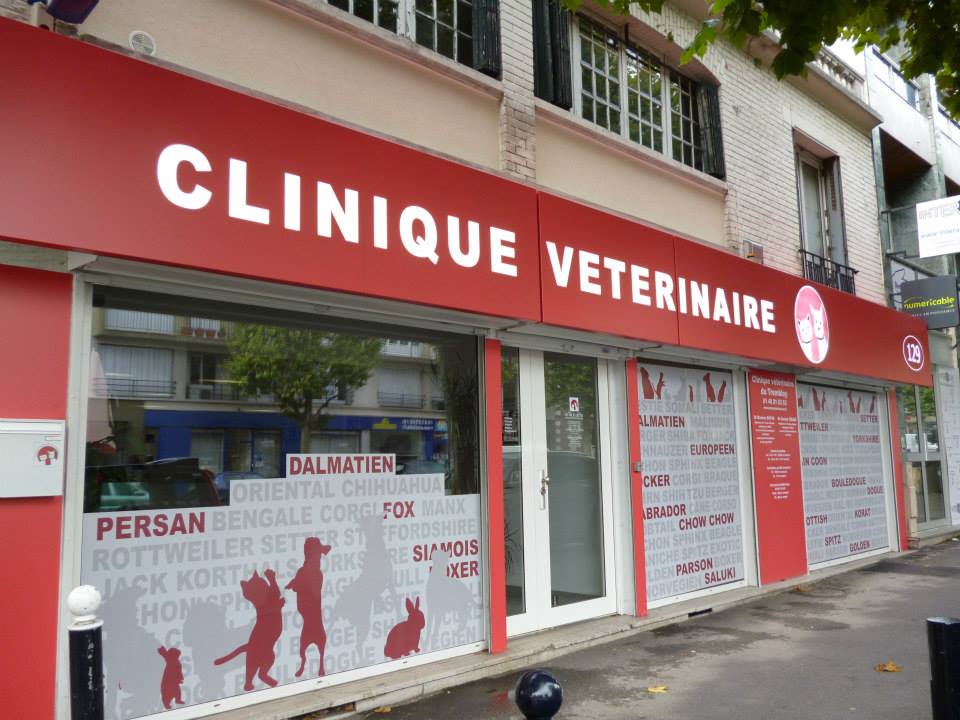 Palmarès des cliniques vétérinaires à Champigny-sur-Marne – Meilleurs médecins pour votre animal de compagnie
