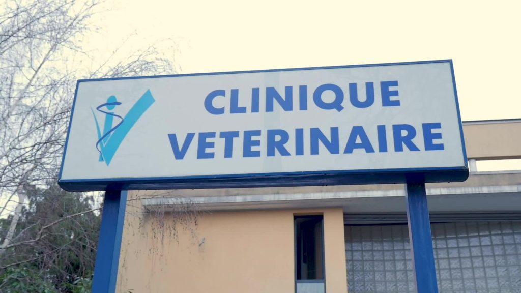 Palmarès des meilleurs Docteurs Vétérinaires à Longjumeau – Essonne