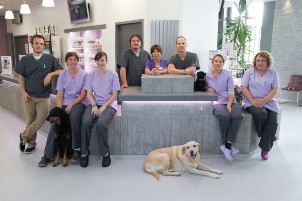 Palmarès des vétérinaires à Montereau-Fault-Yonne – Meilleurs médecins pour votre animal de compagnie